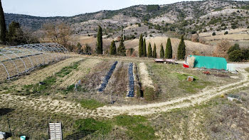 ferme à Limoux (11)