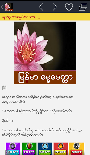 Myanmar Dhammamittar