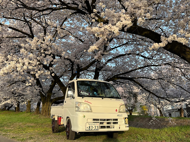 の投稿画像3枚目