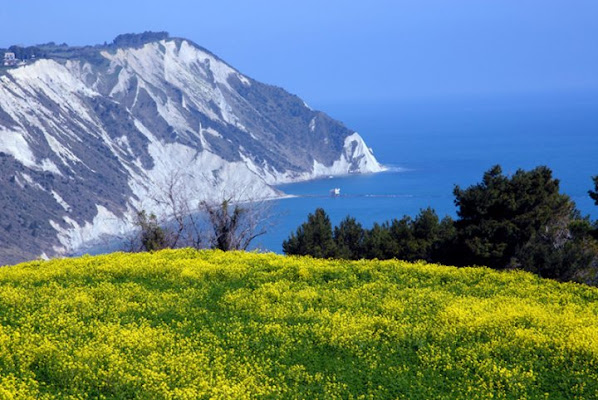 Monte Conero a Primavera di emorpi