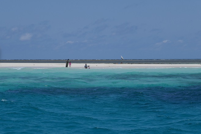 Domingo: excursión a Wasini island - Kenia: 7 días de safari y 4 de playa (3)