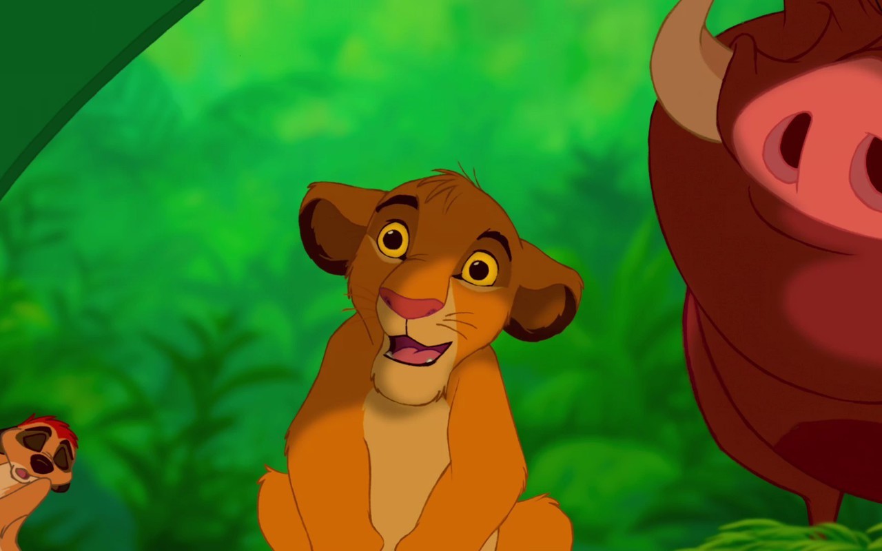 Circle of Life Preview image 1