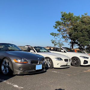 Z4