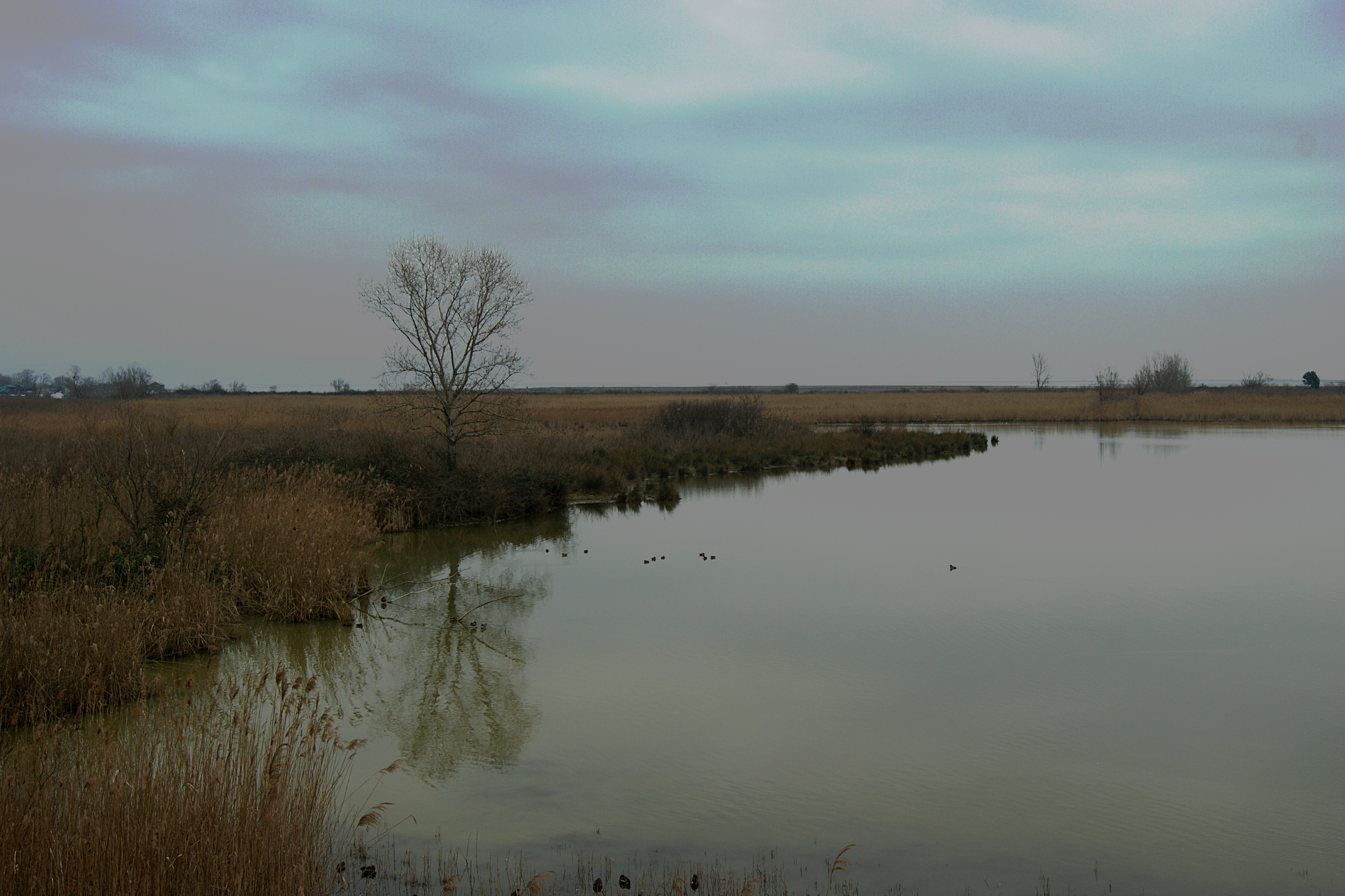 Silenzio in laguna di danilo56