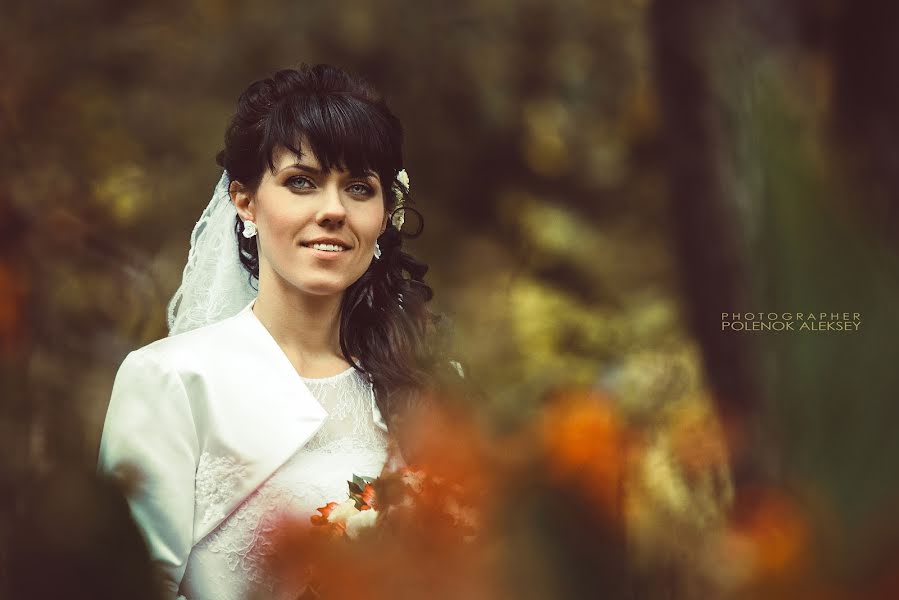 शादी का फोटोग्राफर Aleksey Polenok (apolenok)। अक्तूबर 5 2014 का फोटो