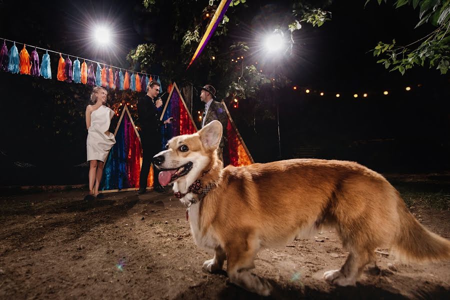 Fotógrafo de casamento Aleksandr Vasilev (avasilev). Foto de 1 de abril 2019