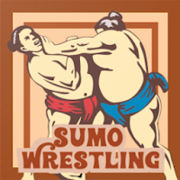Sumo Wrestling Fighting Game
