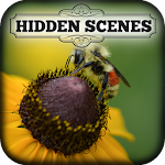 Hidden Scenes - My Little Bees Apk