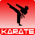 Karate training1.00