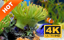 Aquarium New Tab HD Popular Photography Theme small promo image