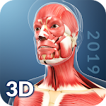 Cover Image of Download My Muscle Anatomy 1.8 APK