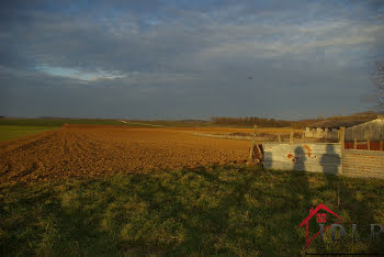 ferme à Gray (70)