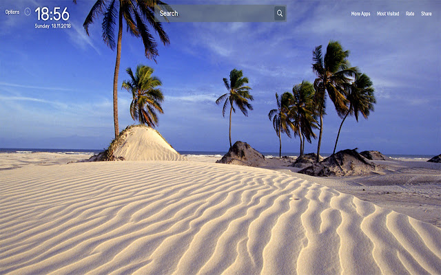 Palm Tree Wallpapers NewTab Theme