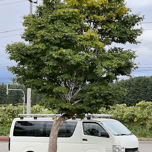 ハイエースバン