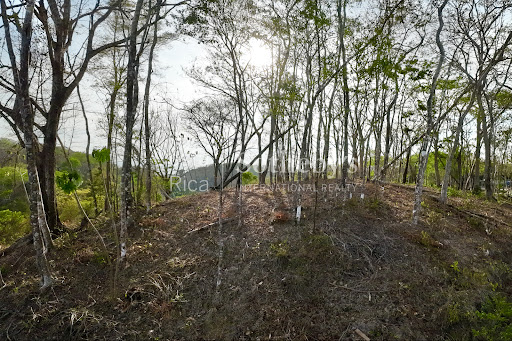 Land 5
