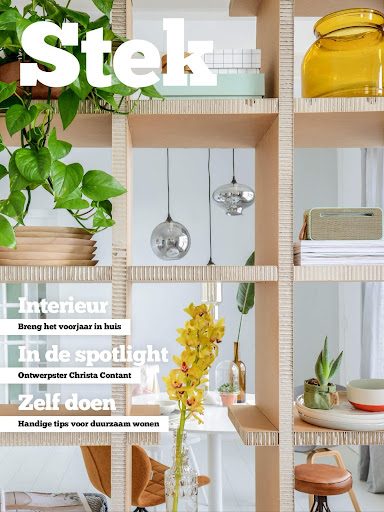 Stek Lifestyle Magazine