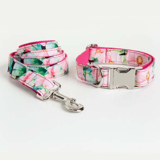 Title 6, Amazon Dog Collar and Leash Pattern Set – Durab...