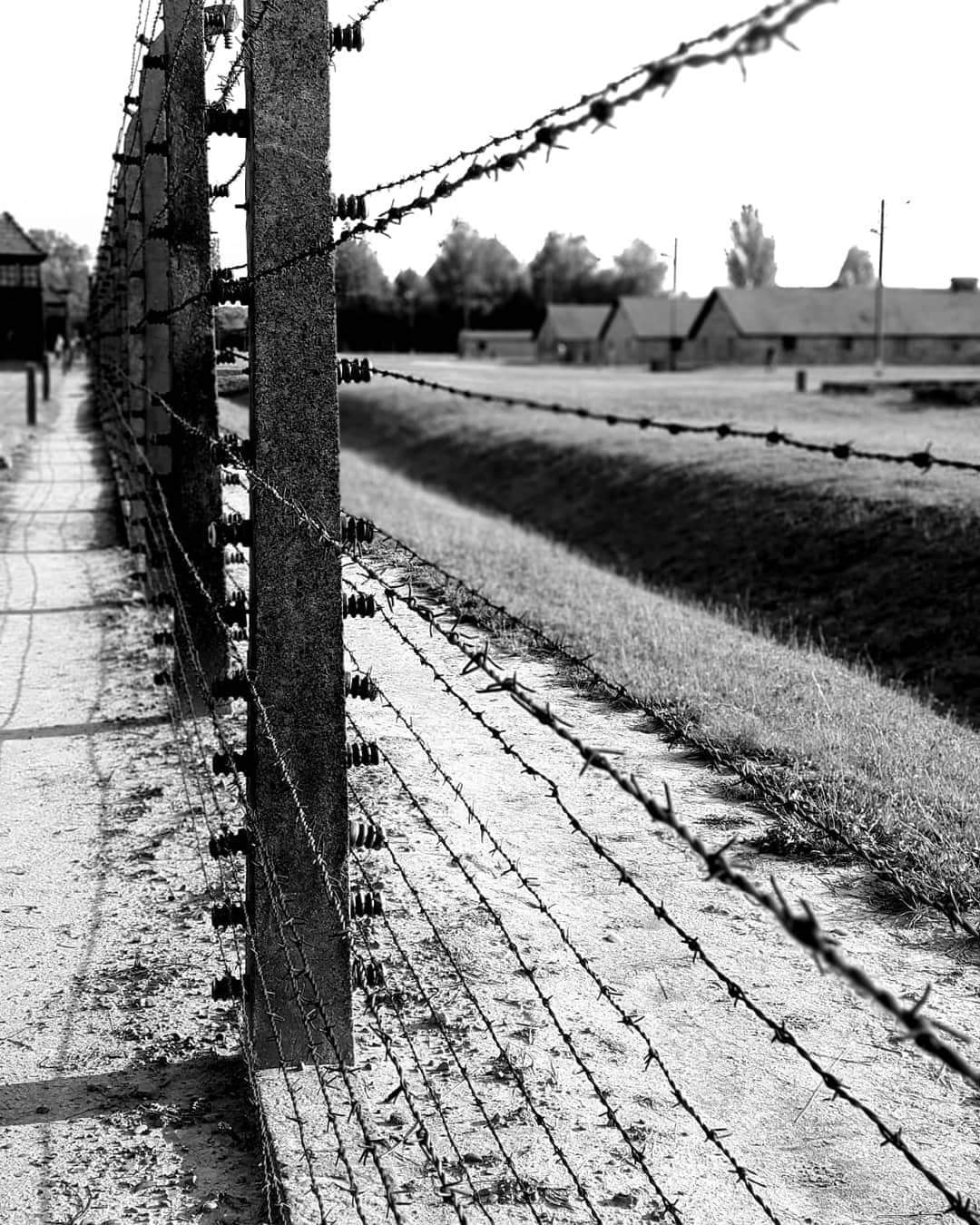 Auschwitz-Birkenau di utente cancellato