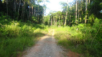 terrain à Macouria Tonate (973)