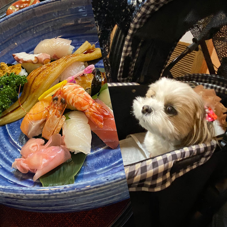 Q60のローガン・嫁の誕生日・ドライブに関するカスタム事例の投稿画像3枚目