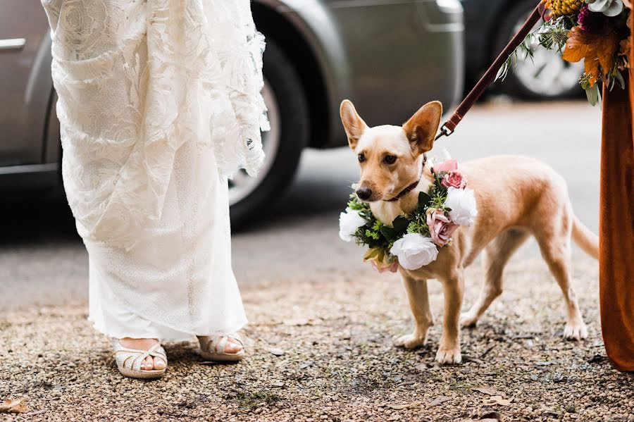 Wedding photographer Dominic Lemoine (dominiclemoine). Photo of 18 December 2022