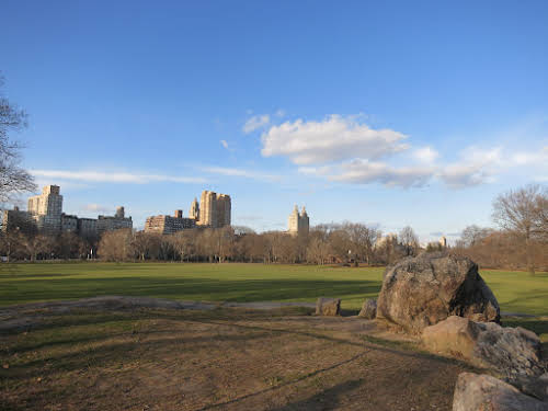 Winter Day in Central Park