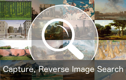 Reverse Image Search chrome extension