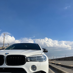 X6 M F86