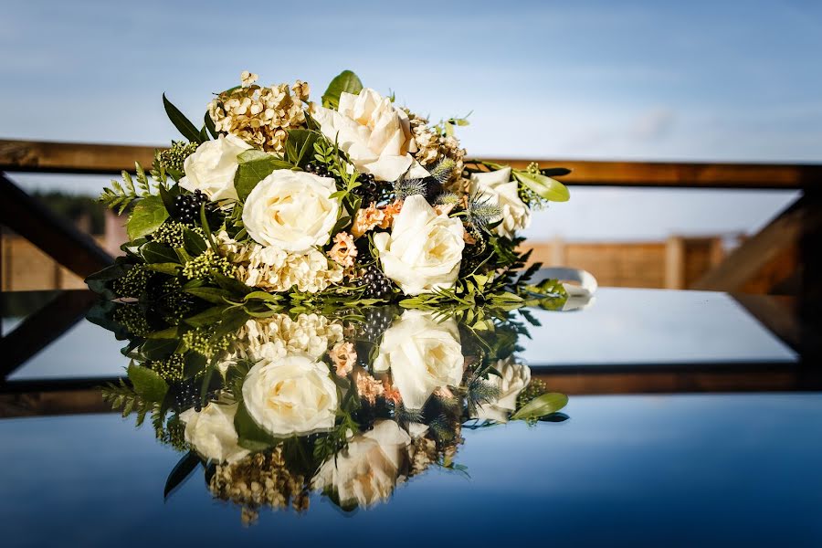 Photographe de mariage Nadezhda Rovdo (nadin0110). Photo du 28 janvier 2018