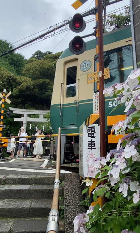147の鎌倉観光に関するカスタム事例の投稿画像2枚目