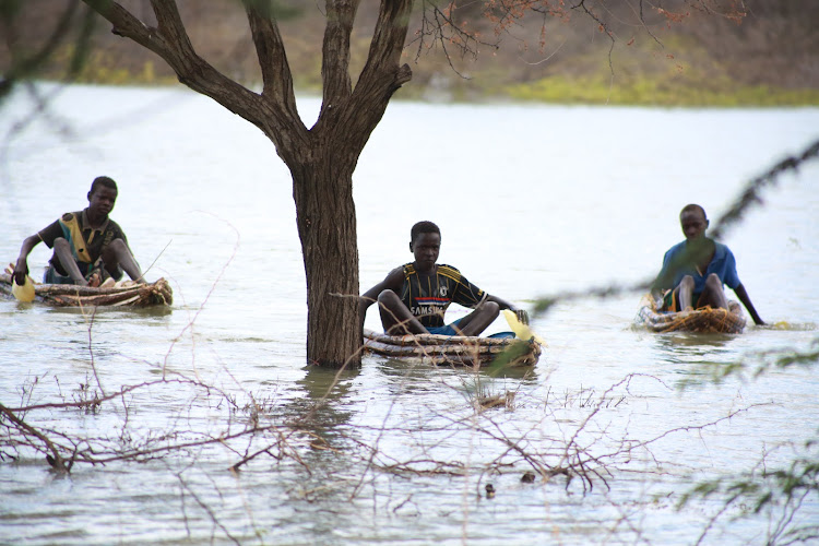 Children riding improvised wooden canoes to across the flooded lake Baringo at Loruk on November 15.