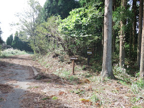 200mほどで林道登山口