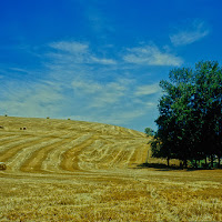 In Campagna di 