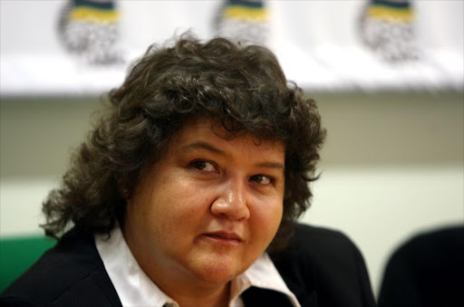 Lynne Brown. File photo.