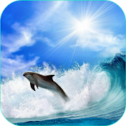 Cat Dog Dolphin Live Wallpaper 1.0 Icon