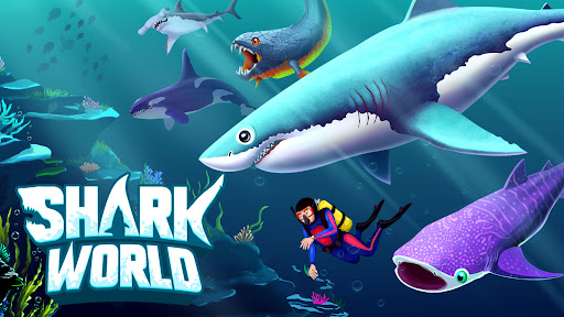 Shark World