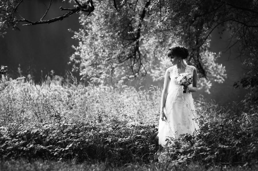 Fotógrafo de bodas Igor Sechinov (sechinov). Foto del 12 de octubre 2015