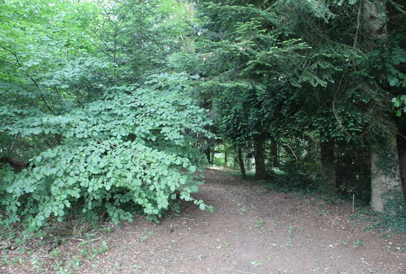  Vente Terrain à bâtir - à Saint-Priest-Taurion (87480) 