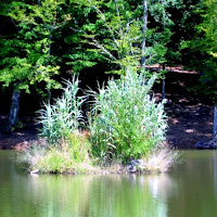 Riflessi nel lago di 