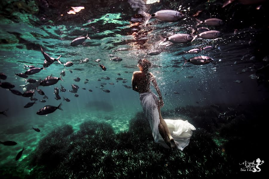 Fotógrafo de casamento Caroline Lantrès (noeufmois). Foto de 1 de setembro 2023