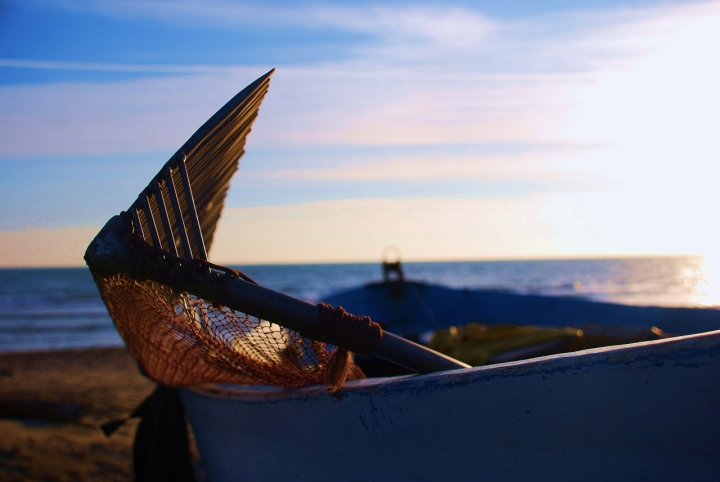 L'arte della pesca di mayre