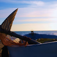 L'arte della pesca di 