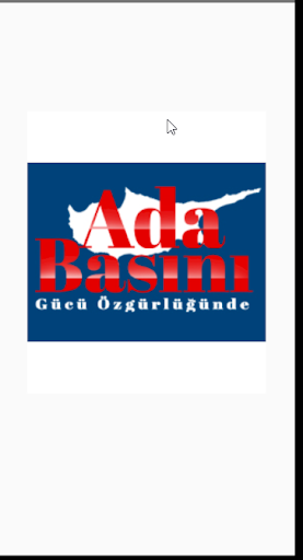 Ada Basını