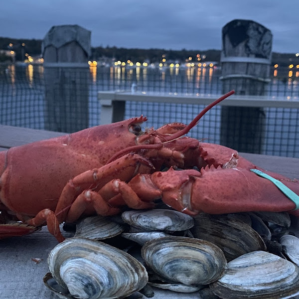 Gluten-Free at Young's Lobster Pound