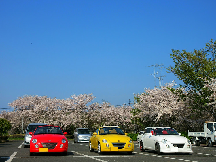 コペンのお花見ツーリング・絵になるクルマ・楽しい一日に関するカスタム事例の投稿画像24枚目