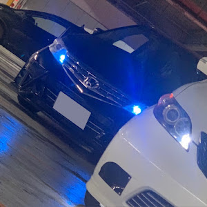 エリシオン RR1