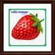 Download Strawberry fruit cultivation For PC Windows and Mac 1.0