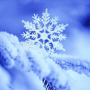 How to download Snowflake Live Wallpaper 1.0 apk for pc