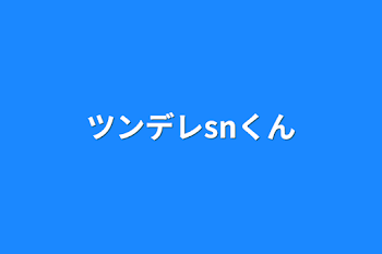 ツンデレsnくん