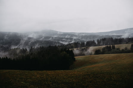 Wedding photographer Vítězslav Malina (malinaphotocz). Photo of 22 November 2018